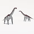 Two Sauropod Dinosaurs With Long Necks Gray Red Patterns On White Background