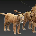 Detailed Lion Models Featuring Adult Male Female and Cub in Various Sizes