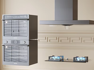 Modern Kitchen Appliances Featuring Stacked Gray Ovens Range Hood And Countertop 3d model