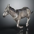 Gray Donkey Sculpture in Standing Posture with Shiny Surface on Dark Background and Clear Reflection