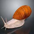 Snail Cartoon Snail Small Snail Reptile Cold Blooded Animal Reptile 3d model