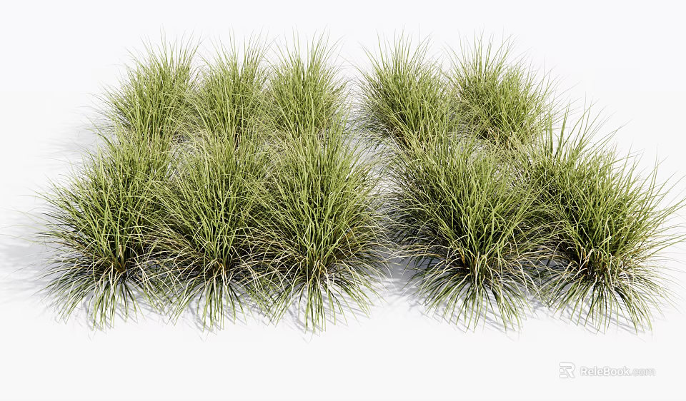 Lush Green Grasses In Natural Clumps With Soft Texture And Vibrant Foliage 3d model 