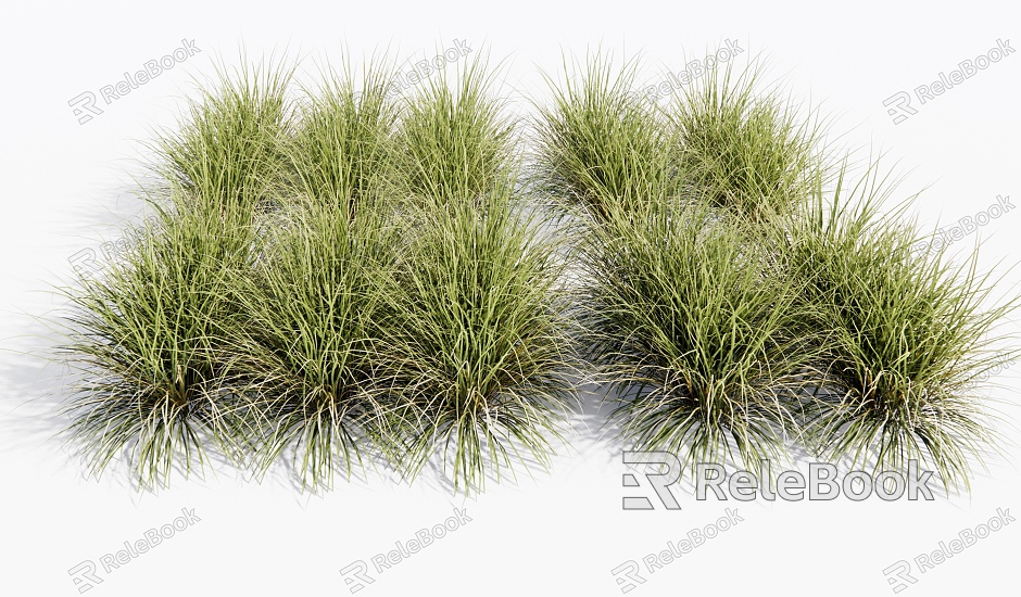 Modern Grass Grass Plants Flowers model