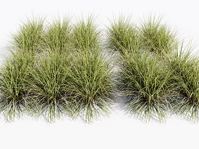 Lush Green Grasses In Natural Clumps With Soft Texture And Vibrant Foliage 3d model