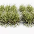 Lush Green Grasses In Natural Clumps With Soft Texture And Vibrant Foliage