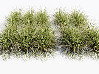 Modern Grass Plants Flowers 3d model