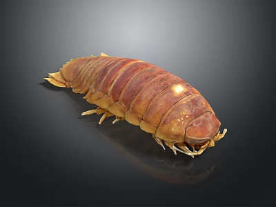 Giant Isopod With Brown Armored Exoskeleton And Many Legs On Dark Background 3d model
