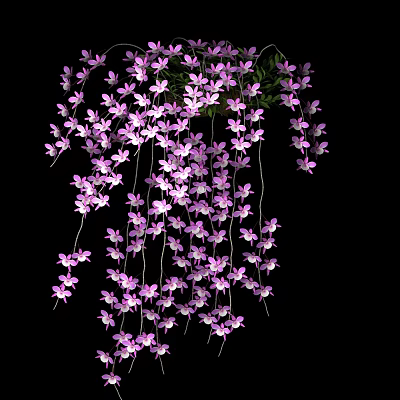 Vibrant Purple Hanging Vine Flowers in Clusters Against Black Background 3d model