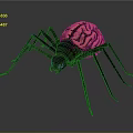 Vibrant Spider Featuring Pink Green Brain Like Body Pattern and Black Colorful Sheen Legs