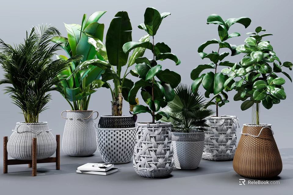Various Potted Green Foliage Plants with Different Woven and Geometric Pattern Planters for Indoor Decor 3d model 