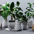 Various Potted Green Foliage Plants with Different Woven and Geometric Pattern Planters for Indoor Decor