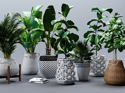 Various Potted Green Foliage Plants with Different Woven and Geometric Pattern Planters for Indoor Decor 3d model