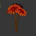 Blooming Red Gerbera Flowers With Green Stems Against Gray Background