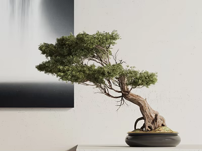 Bonsai Tree With Curved Trunk And Green Foliage In Black Pot For Indoor Decor 3d model