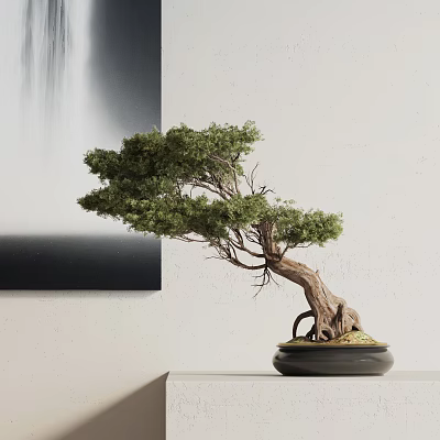 Bonsai Tree With Curved Trunk And Green Foliage In Black Pot For Indoor Decor 3d model