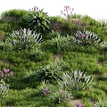 Green Grassland with Lush Plants Purple Small Flowers and Various Herb Species