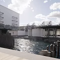 Traditional Modern Garden Landscape With Water Pond Stone Pathway Greenery And Modern Building