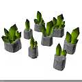 Green Leaf Plants In Gray Stone Bases Arranged For Natural Decorative Look