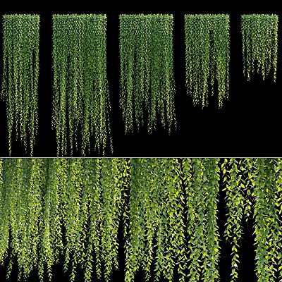 modern vine vine weeping willow plant weeping willow class plant wall garden wall plant wall rose vine creeper 3d model