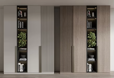 Modern bookcase 3d model