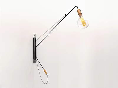 Modern Minimalist Wall Lamp with Adjustable Black Metal Arm and Spiral Bulb 3d model