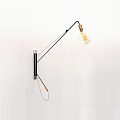 Modern Minimalist Wall Lamp with Adjustable Black Metal Arm and Spiral Bulb