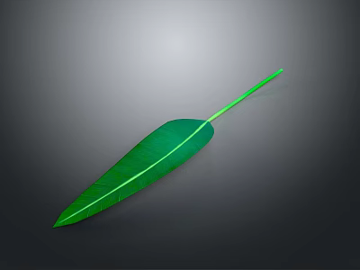 Fresh Green Leaf With Visible Veins And Long Green Stem 3d model
