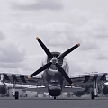 Vintage Silver Propeller Fighter Aircraft with US Star Insignia Parked on Runway Trees Sky Background
