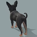 Two Small Black and Tan Dogs Standing with Perky Ears and Friendly Expressions