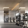 Modern Fitness Gym Interior With Workout Equipment Training Machines And Mirror Walls