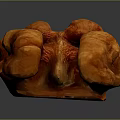 Orange Fleshy Fungus with Wrinkled Surface in Clumpy Shape on Dark Background