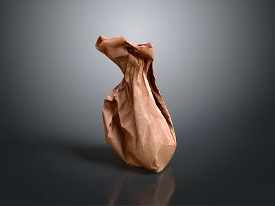 Brown Paper Bag as Practical Reusable Household Item for Daily Use 3d model