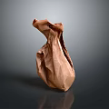 Brown Paper Bag as Practical Reusable Household Item for Daily Use 3d model