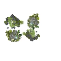 Decorative Rockery Stones with Pine Palm Trees Green Plants for Garden Landscape Design