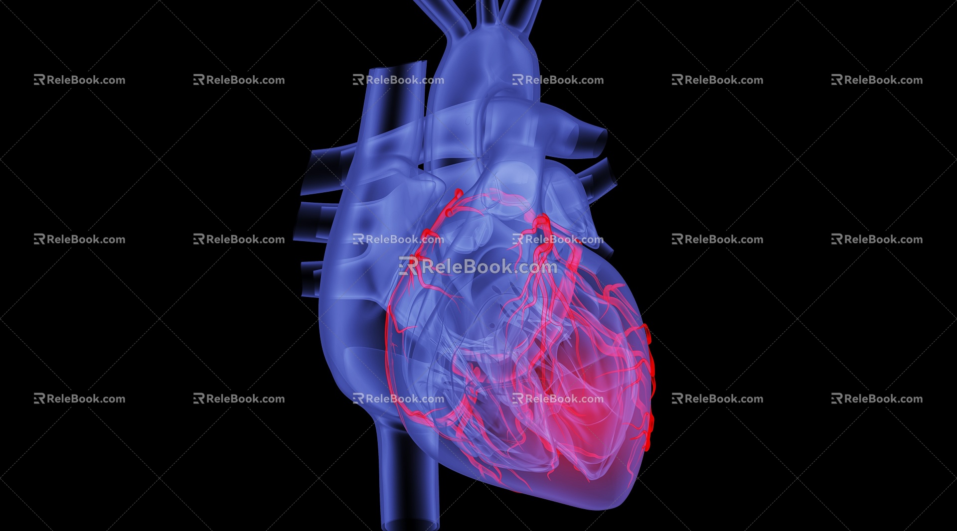 Modern Heart Human Heart 3d model