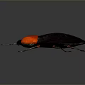 Distinctive Beetle With Bright Red Head And Shiny Black Body On Gray Gradient Background