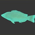 Modern Catfish Catfish Carp Sturgeon 3d model