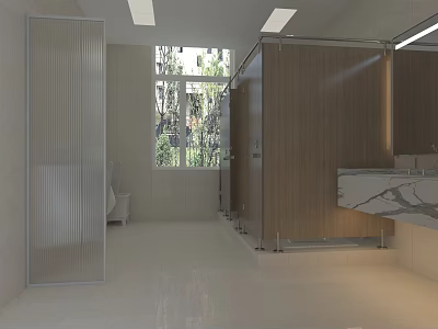 Modern Bright Spacious Public Toilet With Wooden Partitions Frosted Glass And Marble Wash Area 3d model