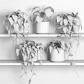 Indoor Home Garden Decor Featuring Various Green Potted Plants On White Shelves