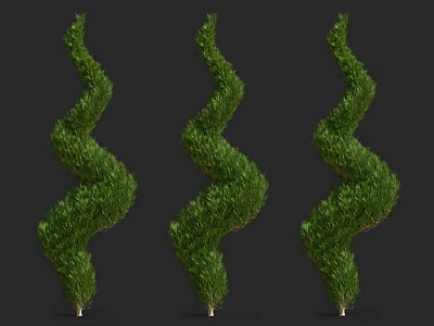 Three Spiral Shaped Green Trees For Ornamental Landscape Design 3d model