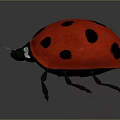 Realistic Red Ladybug With Black Spots On Shiny Back And Thin Black Antennae 3d model