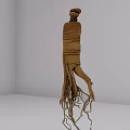 Ginseng Root With Long Fibrous Roots And Brown Skin In Studio Setting
