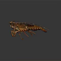 Detailed Colorful Lobster With Long Curved Antennae Large Claws And Segmented Legs On Dark Background