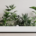 Plant heap 3d model