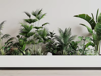 Various Tropical Green Plants With Lush Leaves In White Planter For Indoor Decor 3d model