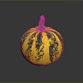 Fresh Yellow And Green Spotted Pumpkin As Seasonal Autumn Vegetable On Dark Background