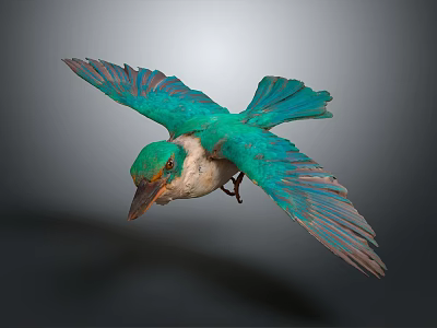 Vibrant Kingfisher Bird Flying With Green Blue Feathers And Outstretched Wings 3d model
