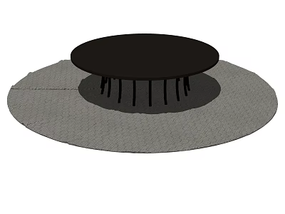 Black Round Coffee Table With Slender Legs On Grey Circular Mat 3d model