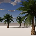 Tall Palm Trees Standing On Open Sandy Ground Under Blue Sky With White Clouds 3d model