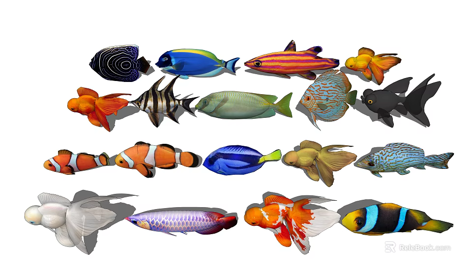 Colorful Aquatic Animals With Diverse Types And Vibrant Patterns Including Clownfish Goldfish 3d model 